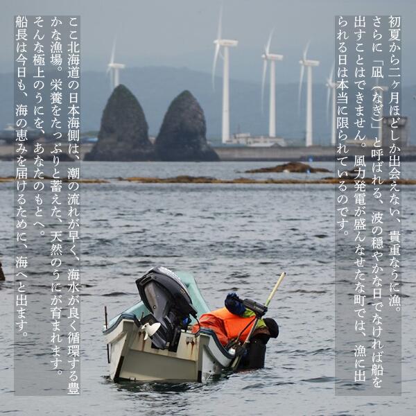 【ふるさと納税】【2026年6月上旬から順次発送】【海洋深層水使用】北海道産 生うに 120g×1個 キタムラサキウニ 直送 旬 パスタ 寿司 焼き うに丼 海鮮 せたな町