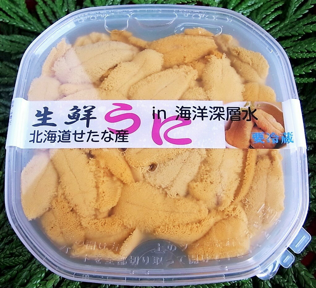 【ふるさと納税】せたな町産　生鮮生うに(150g×2パック)　無添加　天然海洋深層水パック