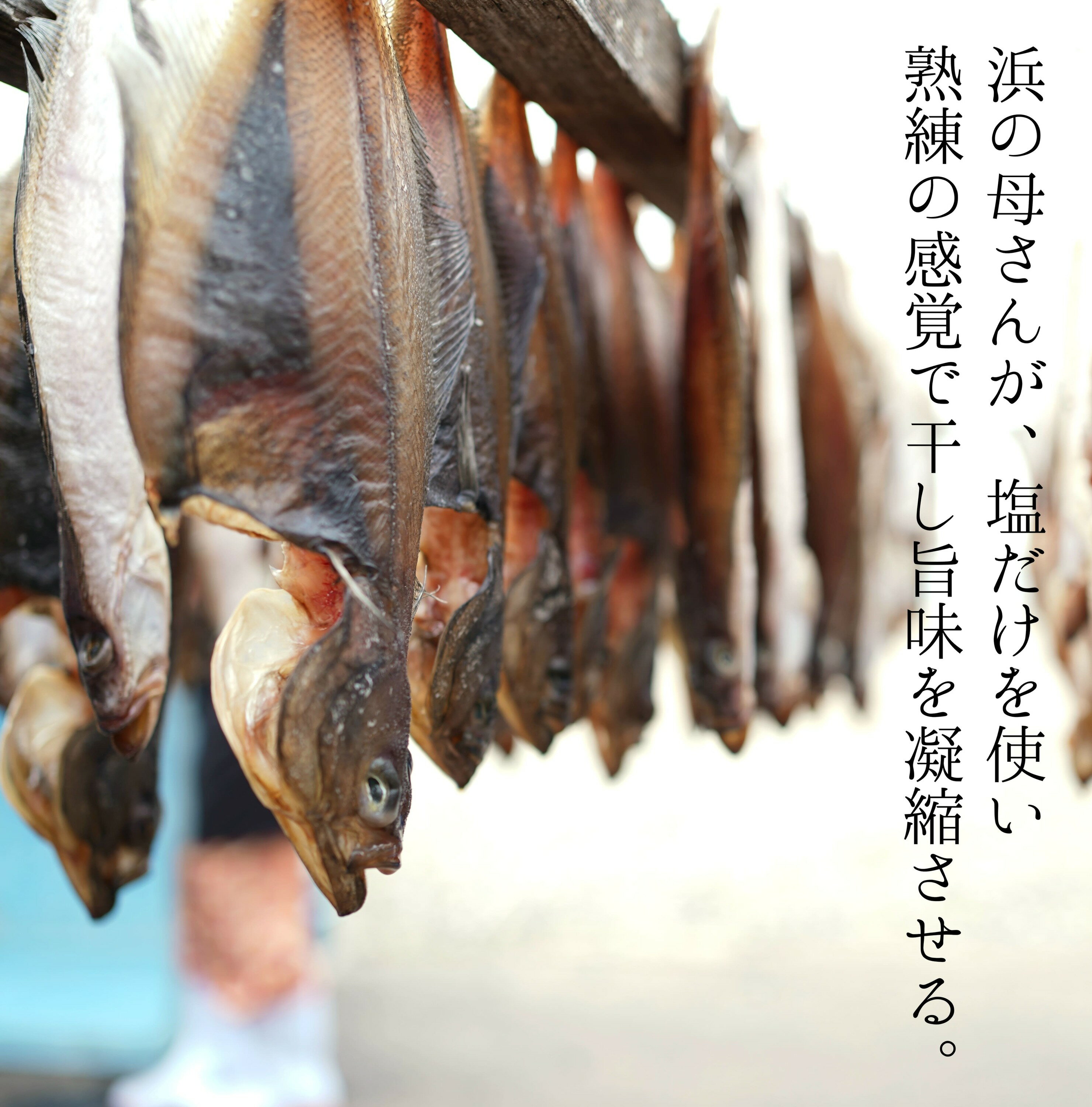 北海道せたな町の画像2