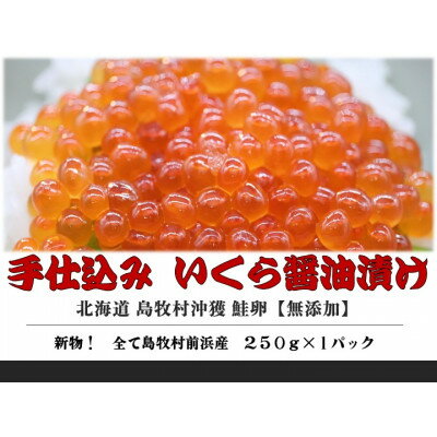 名称 『手仕込』 いくら醤油漬け 沖獲れ鮭卵 250g×1パック【北海道 島牧村産】 保存方法 冷凍 発送時期 2024年5月より順次発送※生産・天候・交通等の事情により遅れる場合があります。 提供元 株式会社丸刀安保水産 配達外のエリア 離島 お礼品の特徴 北海道日本海に面した島牧村から、美味しいイクラの醤油漬けをご案内いたします。 原料の鮭卵は漁師が水揚げの段階から選りすぐった島牧村の沖獲れの鮭のみを使用しており、水揚げ後すぐに漁港近くの加工場で仕込んでおります。丁寧な手作業により、スジや不純物を取り除いておりますので、口あたりがとてもまろやかに仕上がっています。 250gと大満足な量ですので、いくら丼や軍艦巻きなどの寿司ネタとしてふんだんにご使用いただけます。 ■お礼品の内容について ・いくら醤油漬け[250g×1パック] 　　原産地:北海道島牧村/製造地:北海道島牧村 　　賞味期限:製造日から半年間 ■原材料:お礼品に記載 ※アレルギー物質などの表示につきましては、お礼品に記載しています。 ・ふるさと納税よくある質問はこちら ・寄附申込みのキャンセル、返礼品の変更・返品はできません。あらかじめご了承ください。このお礼品は以下の地域にはお届けできません。 ご注意ください。 離島