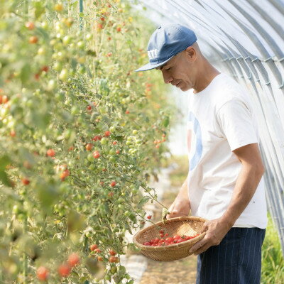 北海道島牧村の画像3