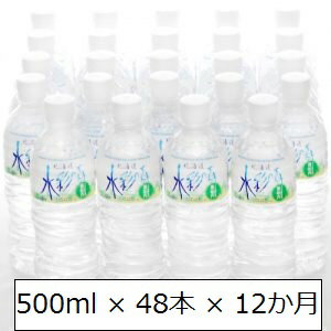 【ふるさと納税】黒松内銘水 水彩の森500ml×48本（24本入×2箱）12か月定期便 工場直送