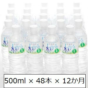 【ふるさと納税】黒松内銘水 水彩の森500ml×48本(24本入×2箱)12か月定期便 工場直送