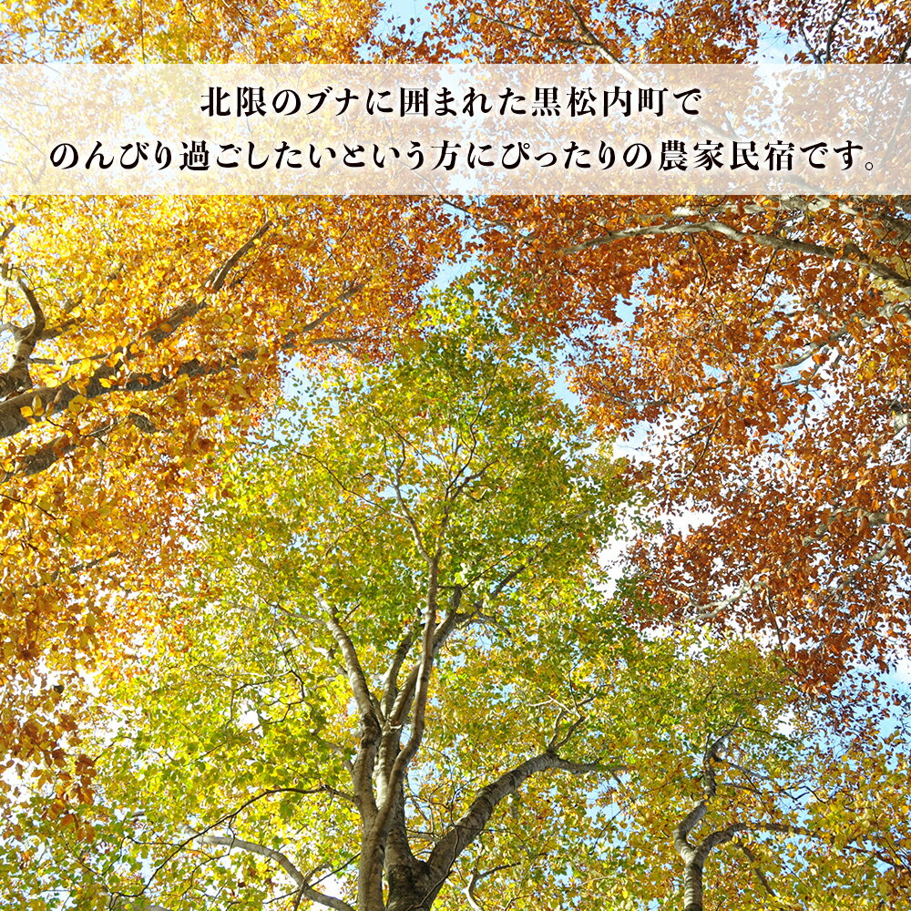 【ふるさと納税】黒松内の農家民宿「ふぁーむいん冨田」1泊2食(夕・朝)宿泊券 1名様宿泊 宿 旅行 民宿 民泊 北海道ふるさと納税 ふるさと納税 北海道 黒松内町 通販 ギフト 贈答品 贈り物その2