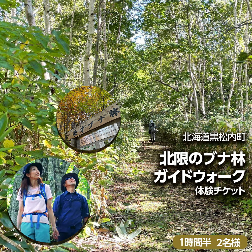 楽天北海道黒松内町【ふるさと納税】黒松内町観光協会「北限のブナ林ガイドウォーク」（1時間半）2名様　体験チケット体験 アクティビティ ガイド レジャー チケット 散策 観光 北海道ふるさと納税 ふるさと納税 北海道 黒松内町 通販 ギフト 贈答品 贈り物