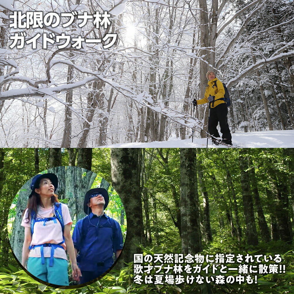 【ふるさと納税】黒松内 アクティビティチケット 3000円分利用券体験 アクティビティ ガイド レジャー チケット 散策 ガイドウォーク 釣り サイクリング スポーツ 観光 北海道ふるさと納税 ふるさと納税 北海道 黒松内町 通販 ギフト 贈答品 贈り物 2