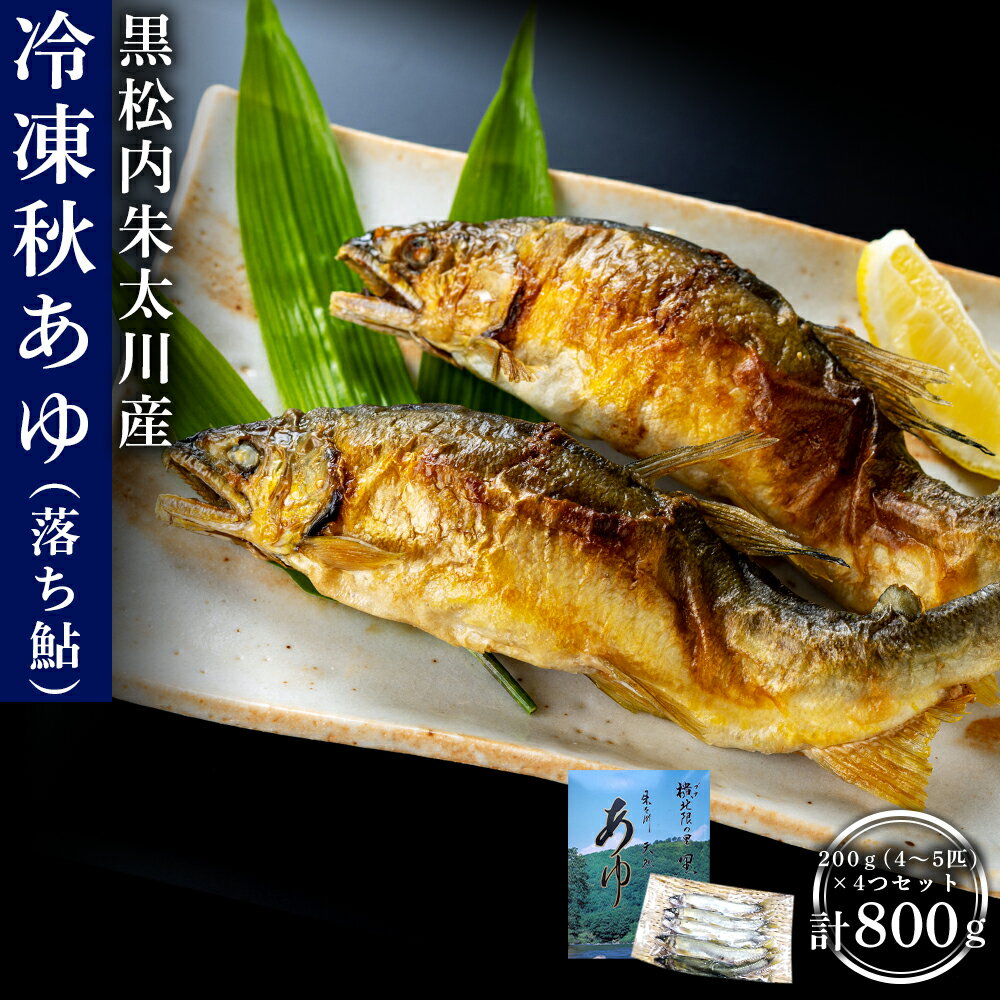 黒松内朱太川産 冷凍秋あゆ（落ち鮎）セット（200g×4つ 計800g）【数量限定】天然 あゆ 秋鮎 冷凍 落ち鮎 真空パック さび鮎 北海道ふるさと納税 ふるさと納税 北海道 黒松内町 通販 ギフト 贈答品 贈り物