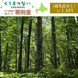 【ふるさと納税】＜返礼品なし＞黒松内町ブナ北限の里づくり寄附金(一口1万円単位でお申込みできます)寄付のみ 返礼品なし 北海道ふるさと納税 ふるさと納税 北海道 黒松内町 通販 ギフト 贈答品 贈り物