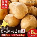 【ふるさと納税】【2025年秋発送予約】じゃがいも2種 馬鈴薯(男爵5kg&キタアカリ3kg) Lサイズ 合計8kg<JAようてい>じゃがいも 芋 秋じゃが 野...