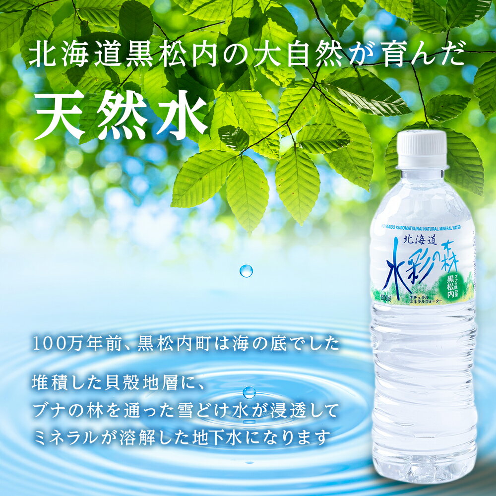 【ふるさと納税】黒松内銘水 水彩の森 選べる500ml（24～48本）・2L（12～24本）北海道 ミネラルウォーター天然水 水彩の森 水 国産 国内 硬水 中硬水 ナチュラル ミネラル 北海道 天然水 北海道ふるさと納税 ふるさと納税 北海道 黒松内町 通販 ギフト 贈答品 贈り物