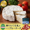 【ふるさと納税】 ホワイトブルーチーズ 90g 選べる2個〜5個 <トワ・ヴェール>ブルーチーズ チーズ 乳製品 青カビ 白カビ チーズ 生乳 北海道ふるさと納...
