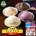 【ふるさと納税】 【定期便】リッチアイス 選べる定期便 8個・12個セット(100ml)【 4種 × 各2個・各3個】ミルク チョコ ラムレーズン カシス チー...