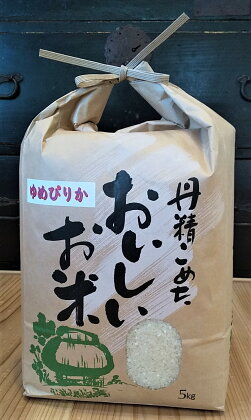 ＜令和5年産＞らんこし米（ゆめぴりか）5kg（金子農場）