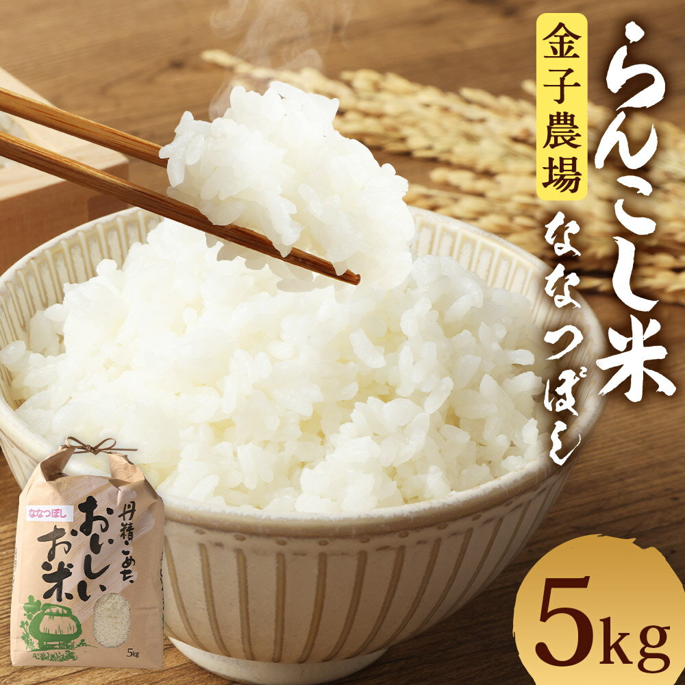 56位! 口コミ数「0件」評価「0」らんこし米 ななつぼし 5kg 金子農場 令和5年産 お米 白米 精米 蘭越町産 北海道産 送料無料