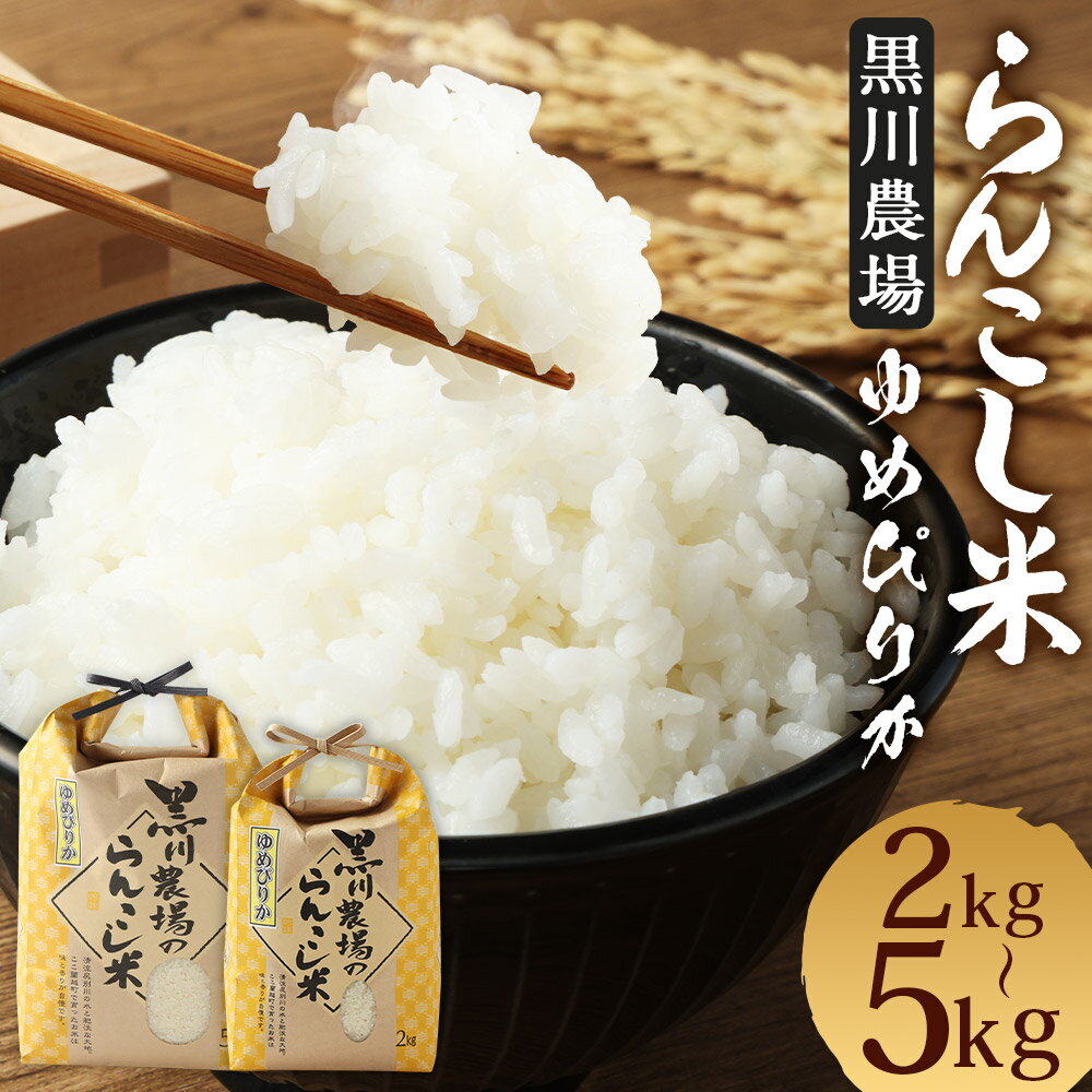 【ふるさと納税】〈令和5年産〉らんこし米（ゆめぴりか）　5Kg（黒川農場）のサムネイル