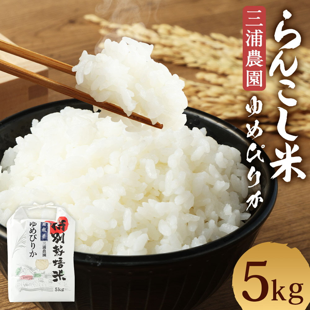 【ふるさと納税】＜令和5年産＞らんこし米（ゆめぴりか）　5kg（三浦農園）