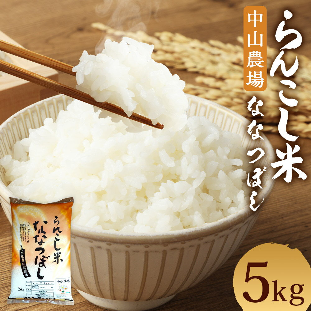 らんこし米 ななつぼし 5kg 中山農場 令和5年産 お米 白米 精米 蘭越町産 北海道産 送料無料