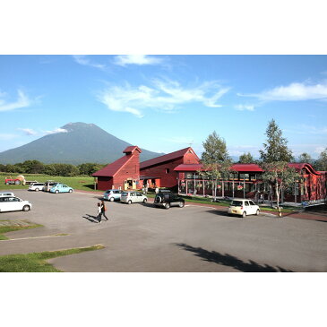 【ふるさと納税】ニセコ高橋牧場ミルク工房 のむヨーグルト (小)20本 / 北海道 ニセコ 高橋牧場 ミルク工房 150ml 20本 のむヨーグルト 飲むヨーグルト ヨーグルト 乳製品 乳酸菌 発酵 ふるさと納税 【03002】