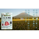 【ふるさと納税】北海道ニセコ町産パン用発芽玄米粉1袋＋パン用米粉2袋セット(小麦・乳・食品添加物無し)【Yesclean農法認定品】【31103】