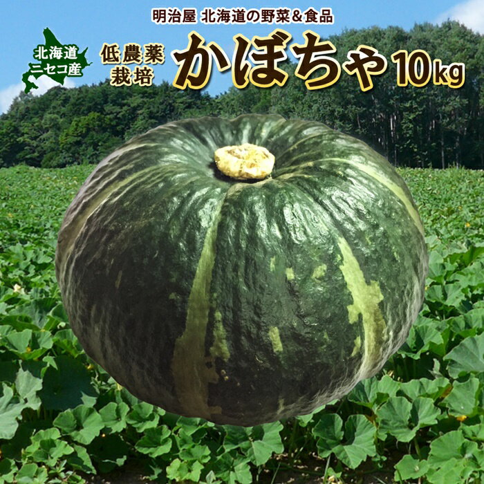 ＜早期予約＞北海道ニセコ町 かぼちゃ10kg【2024年産】【3200701】