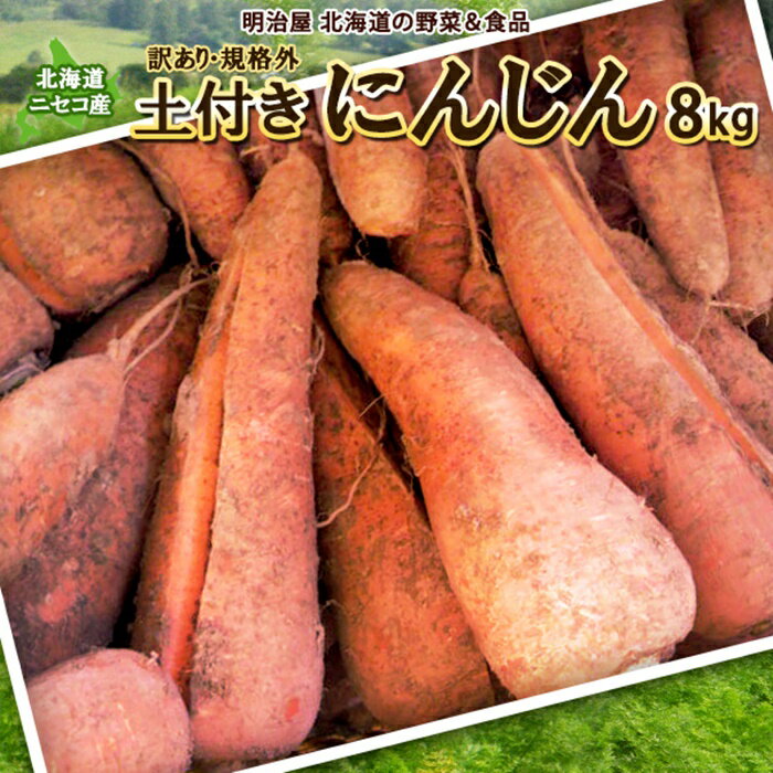 ＜早期予約＞北海道ニセコ町 訳ありにんじん8kg【2024年産】【3200801】