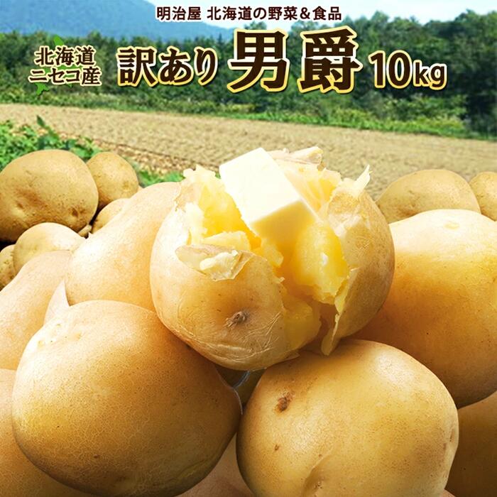 【ふるさと納税】＜早期予約＞北海道ニセコ町 訳ありじゃがいも男爵10kg【2024年産】【3201001】