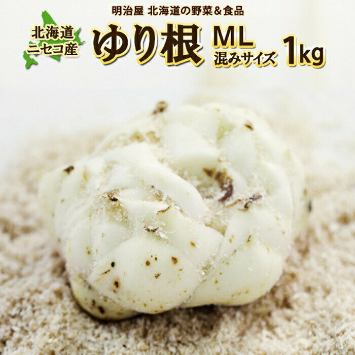 北海道ニセコ町 ゆり根M-L混みサイズ1kg[2025年産]
