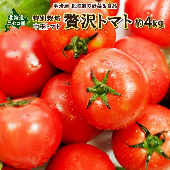 【ふるさと納税】<早期予約・数量限定>北海道ニセコ町 贅沢トマト4kg【2025年産】【32005】