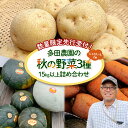 【ふるさと納税】【数量限定先行受付!】多田農園の秋の野菜3種15kg以上詰め合わせ【51008】