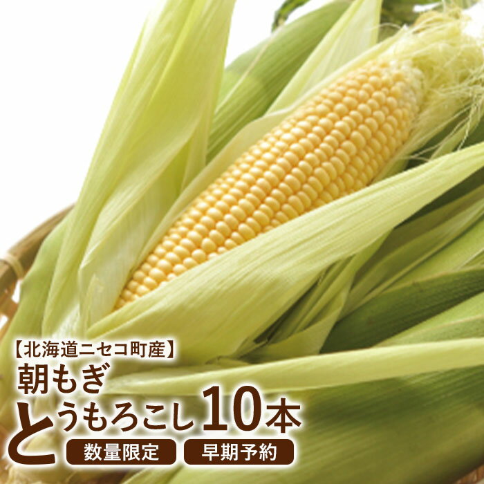 とうもろこし 10本 北海道産 先行受付 野菜 予約 7月下旬 おうち おうちグルメ お取り寄せ ふるさと納税 北海道 ニセコ ニセコ町 【0202301】