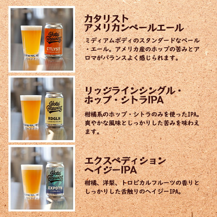 【ふるさと納税】【北海道ニセコ町】ヨーテイブルーイング　クラフト缶ビール6缶セット（3種類×2缶）【09127】