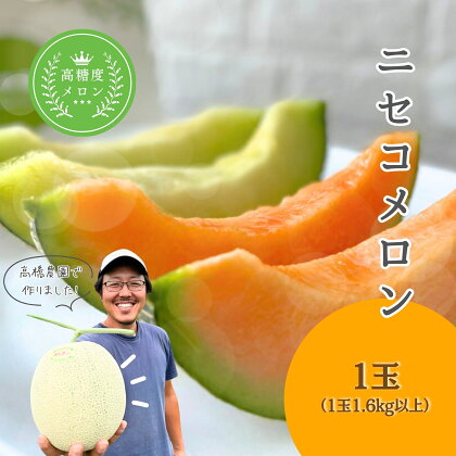 《2024年分受付中》糖度13度以上!市場には出回らない北海道ニセコメロン1玉（1.6kg以上）/高橋農園【37001】