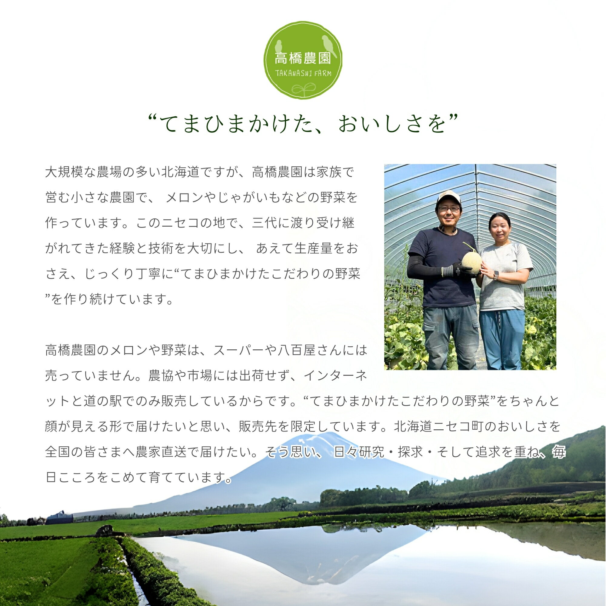 【ふるさと納税】《2024年分受付中》甘くてほくほく!北海道ニセコ名産「キタアカリ」新じゃが10kg/高橋農園【37005】
