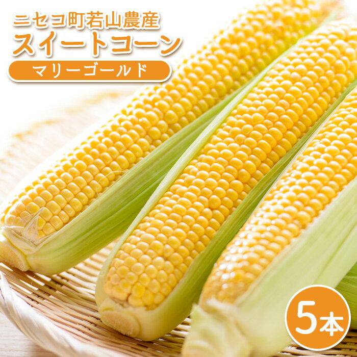 【ふるさと納税】ニセコ町 若山農産 スイートコーン とうもろこし トウモロコシ 5本 マリーゴールド 野菜 コーン ニセコ町産 農家直送 新鮮 やさい 数量限定 万能野菜 ベジタブル 8,000円 オンライン 申請 ふるさと納税 北海道 ニセコ にせこ 【40004】のサムネイル