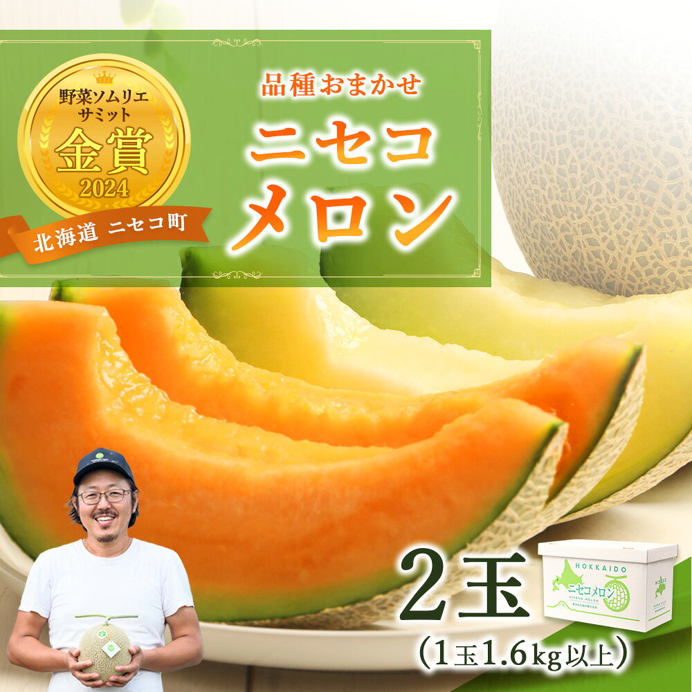 Mellon - 【ふるさと納税】《2026年分受付中》糖度13度以上!市場には出回らない北海道ニセコメロン2玉（1玉1.6kg以上）/高橋農園【3700201】