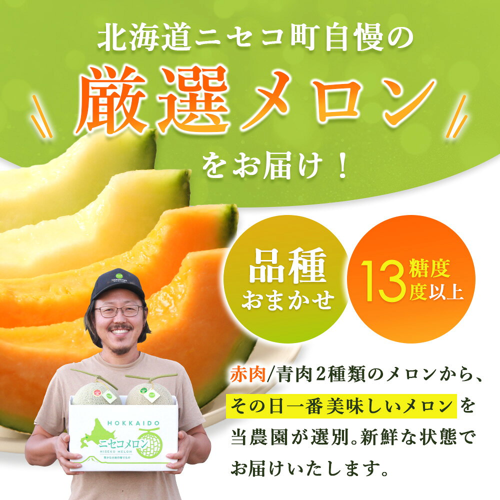 【ふるさと納税】《2027年分受付中》市場には出回らない 北海道ニセコメロン 8～12玉 (1箱8kg×2箱) 糖度13度以上 | メロン ニセコメロン 北海道メロン 赤肉メロン 赤肉 青肉メロン 青肉 果物 フルーツ 夏 計16kg お取り寄せ 北海道 ニセコ町 ニセコ【37001DA0101】 f013951-niseko-10000294 北海道ニセコ町 サンプル画像3