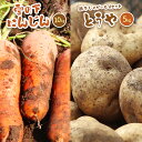 【ふるさと納税】北海道真狩村産 雪の下にんじん約10kgと越冬じゃがいも約5kg Aセット(とうや) 【2026年春お届け分】【0115401】