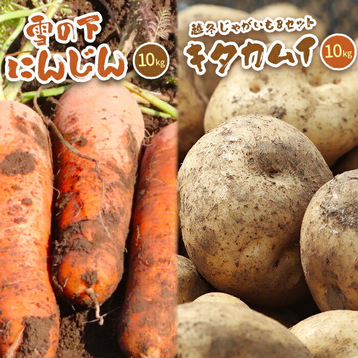 ڤդ뤵Ǽǡ̳ƻ¼βˤ󤸤10kgȱߤ㤬10Kg Bå (।) 2026ǯդϤʬۡ01...