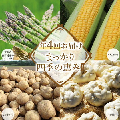 まっかり四季の恵みセット（年4回お届け）【北海道真狩村産のアスパラ、とうもろこし、じゃがいも、ゆり根】＜2024年アスパラはじまり＞【01178】