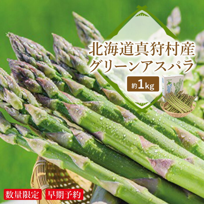 [数量限定・早期予約]北海道真狩村産 グリーンアスパラ約1kg[2024年産][01079]