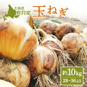 【ふるさと納税】北海道真狩村産 玉ねぎ(約10kg入り28〜36玉前後)【01213】