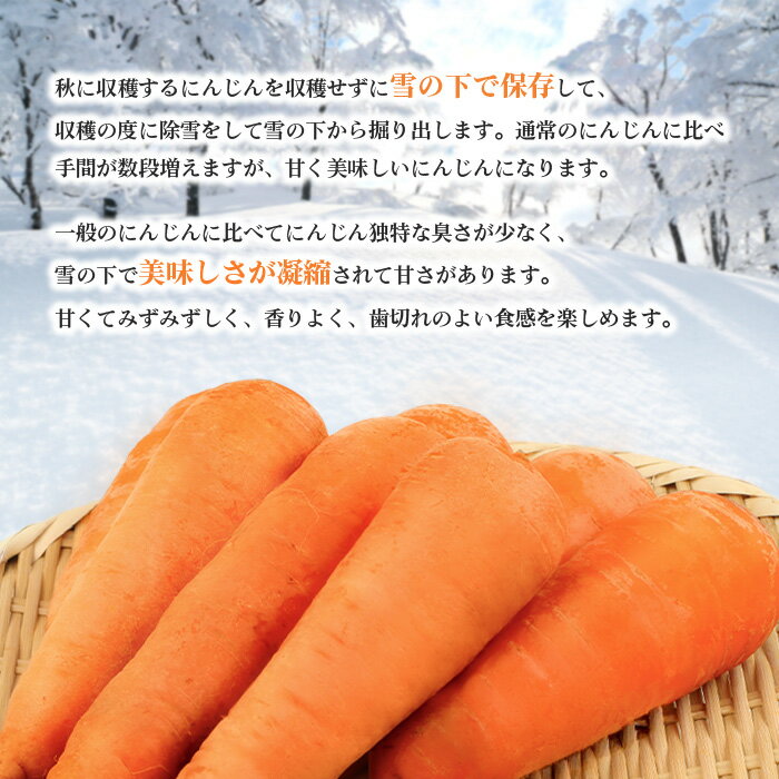 北海道留寿都村の画像2