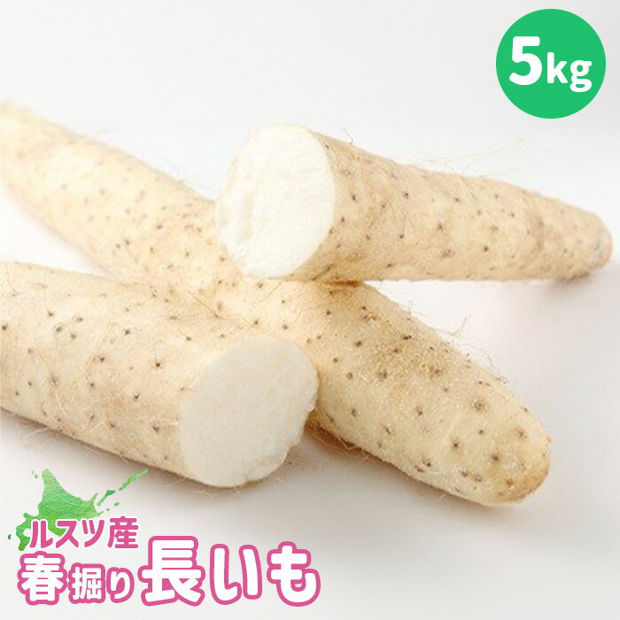 3位! 口コミ数「0件」評価「0」ルスツ産春掘り長いも5kg ルスツ産春掘り長いも 春掘り 長いも 長芋 ながいも 留寿都産 ふるさと納税 北海道 留寿都村 オンライン 野菜･･･ 