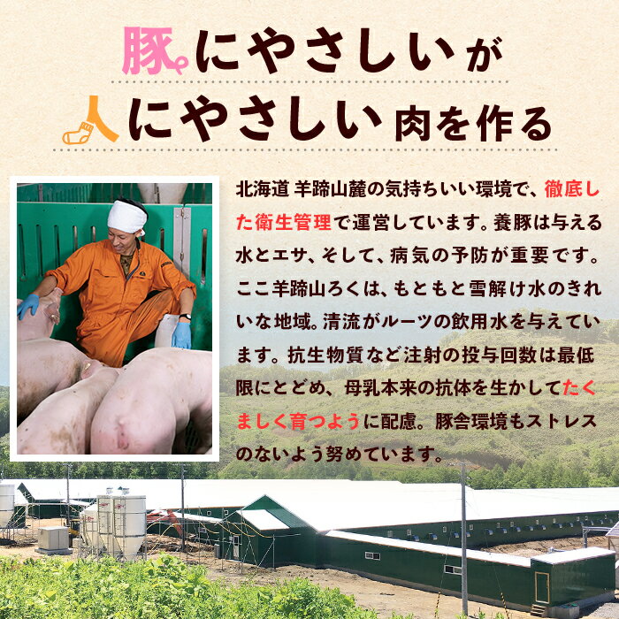 北海道留寿都村の画像3