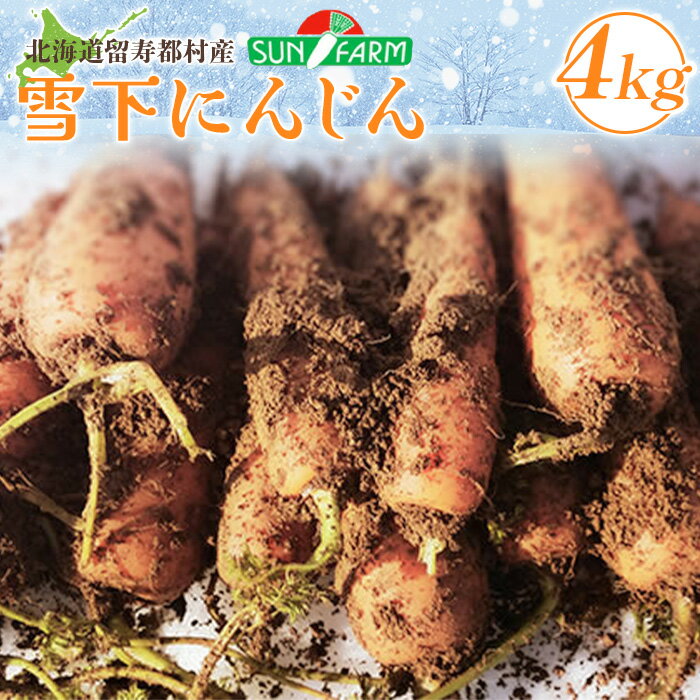 雪下にんじん 4kg 人参 にんじん ニンジン 越冬 オンライン 申請 ふるさと納税 北海道 留寿都 野菜 春 旬野菜 季節野菜 甘い フルーツ みずみずしい 産地直送 新鮮 採れたて サラダ カレー おかず 4キロ 留寿都村