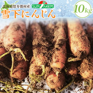【ふるさと納税】雪下にんじん 10kg 人参 にんじん ニンジン 越冬 オンライン 申請 ふるさと納税 北海道 留寿都 野菜 春 旬野菜 季節野菜 甘い フルーツ みずみずしい 産地直送 新鮮 採れたて サラダ カレー おかず 10キロ 留寿都村【2400501】
