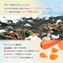 北海道留寿都村の画像2