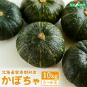【ふるさと納税】かぼちゃ 10kg 5〜8玉 カボチャ 南瓜 オンライン 申請 ふるさと納税 北海道 留寿都 野菜 緑黄色野菜 旬野菜 季節野菜 甘い ホクホク...