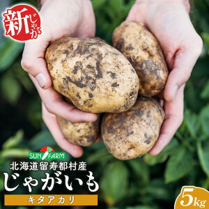 【ふるさと納税】新じゃがいも キタアカリ 5kg いも おいも 芋 イモ ジャガイモ ポテト きたあかり オンライン 申請 ふるさと納税 北海道 留寿都 野菜 根菜 ホクホク 産地直送 新鮮 採れたて ポテトサラダ コロッケ スープ 5キロ 留寿都村【2401201】