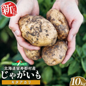 【ふるさと納税】新じゃがいも キタアカリ 10kg いも おいも 芋 イモ ジャガイモ ポテト きたあかり オンライン 申請 ふるさと納税 北海道 留寿都 野菜 根菜 ホクホク 産地直送 新鮮 採れたて ポテトサラダ コロッケ スープ 10キロ 留寿都村【2401301】